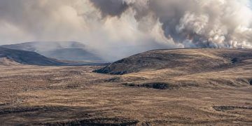 Ой, хээрийн түймрийн улмаас учирсан хохирлыг тогтоож, гэм буруутай этгээдээр нөхөн төлүүлнэ