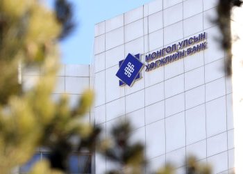 Хөгжлийн банкны Гүйцэтгэх захирал болон Тэргүүн дэд захирлыг томиллоо